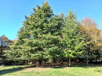 Jardin de l'établissement Gîte du Solnan