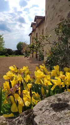 Jardin de l'établissement Chateau de GRANDVAUX
