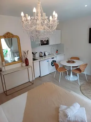 Cuisine ou kitchenette dans l'établissement *Monge Zola*