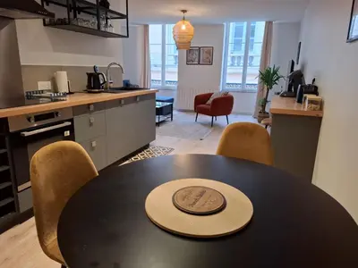 Cuisine ou kitchenette dans l'établissement Joli appartement au coeur de Mâcon