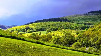 Paysage naturel près de le B&B/chambre d'hôtes