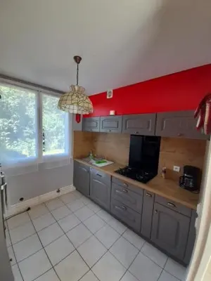 Cuisine ou kitchenette dans l'établissement appartement au coeur de la région des lacs .