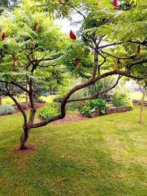 Jardin de l'établissement Villa Jura Poligny