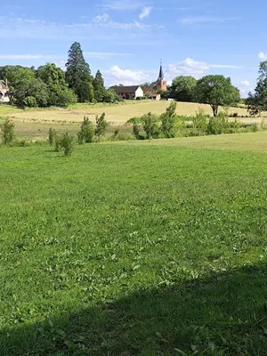 Paysage naturel près de l'appartement