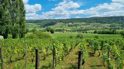 Paysage naturel près de la maison d'hôtes