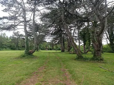 Jardin de l'établissement Gîte de la fontaine