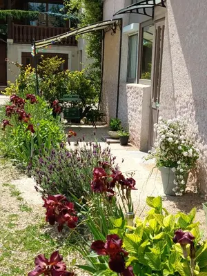 Jardin de l'établissement gite des palmiers