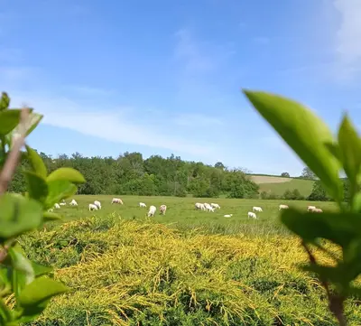 Paysage naturel près de la maison de vacances