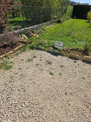 Jardin de l'établissement Serge'House