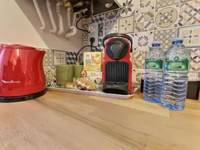 Cuisine ou kitchenette dans l'établissement Le Tropical Mâconnais de Miss K