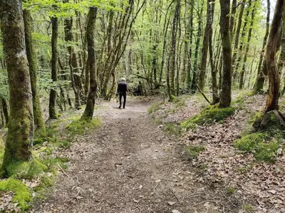 Paysage naturel près de la maison de vacances