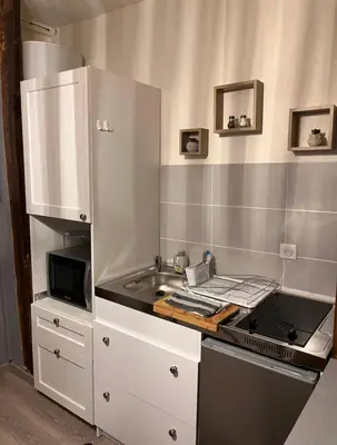 Cuisine ou kitchenette dans l'établissement Studio cosy, cité gastronomique