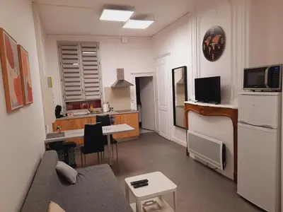 Télévision ou salle de divertissement dans l'établissement Grand studio au calme - Dijon centre