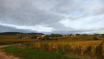 Paysage naturel près de l'appartement