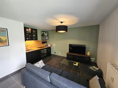Télévision ou salle de divertissement dans l'établissement Hippolyte - Magnifique appartement en centre-ville