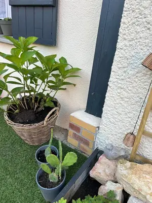 Jardin de l'établissement La Balade