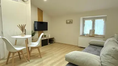 Télévision ou salle de divertissement dans l'établissement Le cocon mâconnais pour deux