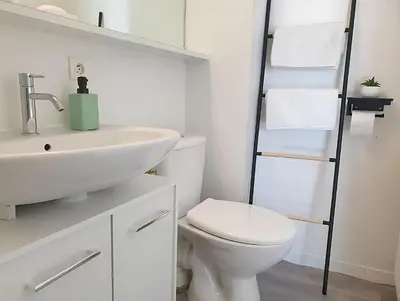 Salle de bains dans l'établissement Appartement Le Classik' PARKING PRIVÉ
