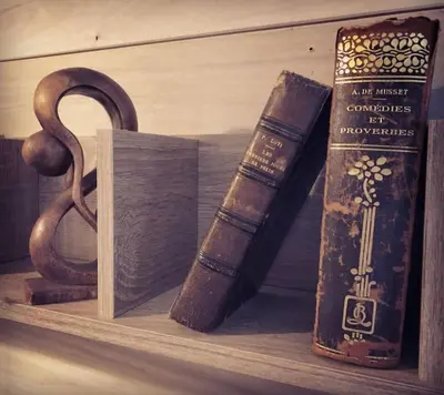 Bibliothèque dans l'appartement