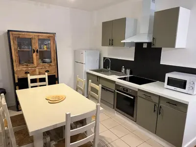 Cuisine ou kitchenette dans l'établissement T3 Macon Centre Rambuteau