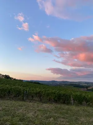 Paysage naturel près de la maison de vacances