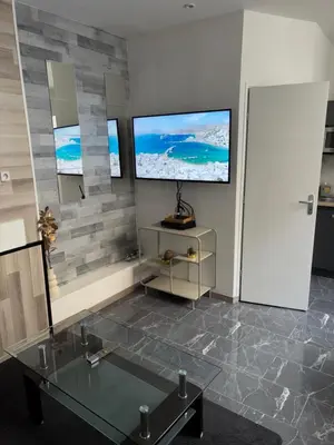 Télévision ou salle de divertissement dans l'établissement Le Darcy Dijon gare et centre ville