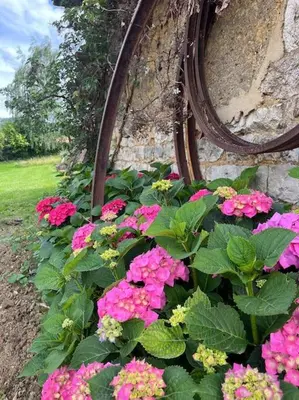 Jardin de l'établissement Gîte Les Petits Belézins