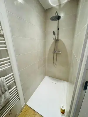 Salle de bains dans l'établissement Superbe appartement beaune centre