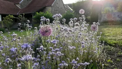Jardin de l'établissement Cense des Possibles - studio 