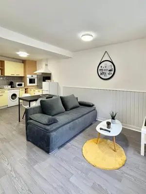Cuisine ou kitchenette dans l'établissement appartement confort