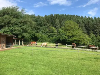 Paysage naturel près de la maison de vacances