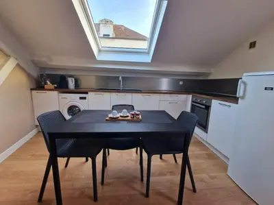Cuisine ou kitchenette dans l'établissement Appartement T2 Le central