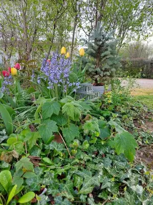 Jardin de l'établissement Appartement neuf, Rez de jardin, 30m2 lumineux