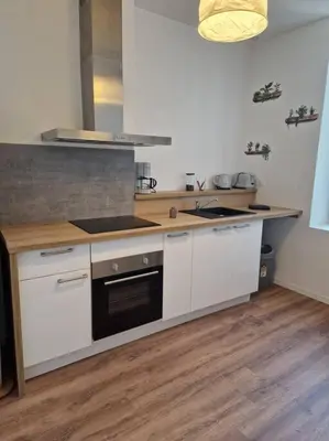 Cuisine ou kitchenette dans l'établissement Le Carnot