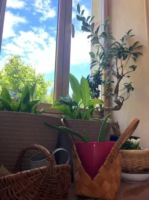 Jardin de l'établissement La maison Villecharny
