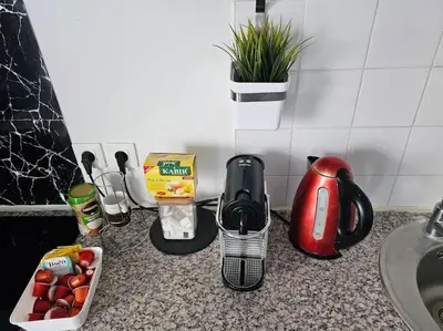 Cuisine ou kitchenette dans l'établissement appartement