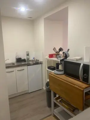 Cuisine ou kitchenette dans l'établissement Appartement macon proche gare avec cours