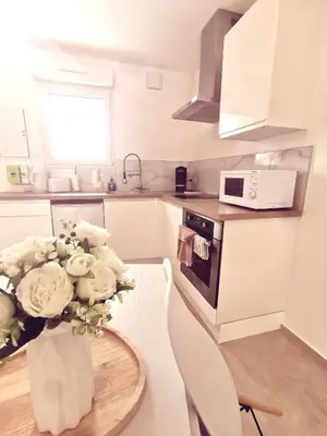 Cuisine ou kitchenette dans l'établissement Magnifique duplex neuf parking et terrasse