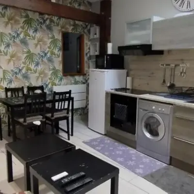 DIJON Super appartement F1 bis climatisé mezzanine