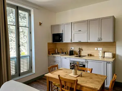 Cuisine ou kitchenette dans l'établissement Le Ginkgo