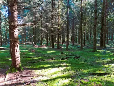Paysage naturel près de la maison d'hôtes