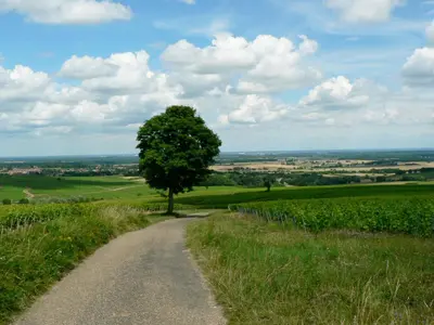 Paysage naturel près de la maison de vacances