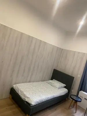 Un ou plusieurs lits dans un hébergement de l'établissement Logement à Dijon nord