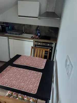 Cuisine ou kitchenette dans l'établissement Seul sous les toits de Dijon