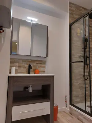 Salle de bains dans l'établissement Le boudoir - Wi-Fi - TV