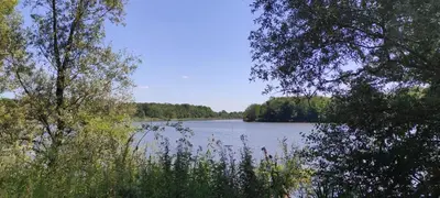 Paysage naturel près de le camping