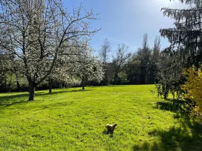 Jardin de l'établissement Gîte de l 'Angeline