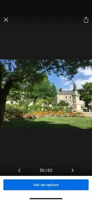 Plan de l'établissement Elysée Darcy - Devosge hyper centre ,Liberté Gare - ville