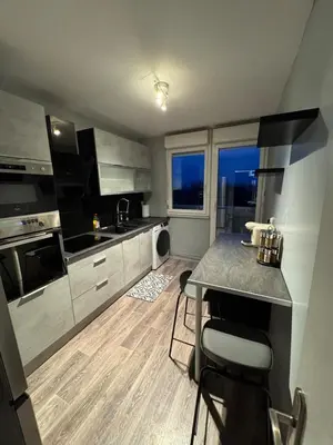 Cuisine ou kitchenette dans l'établissement Appartement Cosy