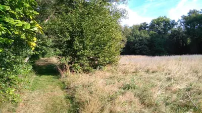 Paysage naturel près de l'hôtel